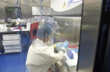 Διάψευση Κίνας για την κατασκευή του κορωνοϊού σε εργαστήρια