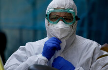 Κορωνοϊός, Περιστέρι