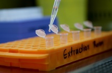 ΠΟΥ για επιπτώσεις κορωνοϊού σε σχέση με τον εμβολιασμό