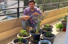 Ο σεφ Γκίκας Ξενάκης