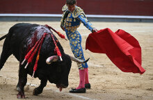 Ταυρομαχία, Ισπανία
