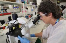 Κορωνοϊός και έρευνα 