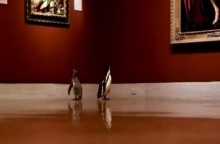 Πιγκουίνοι μπροστά από πίνακες στο Nelson Atkins Museum of Art
