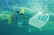 Ρύπανση της θάλασσας από πλαστικά είδη μίας χρήσης