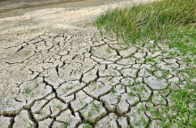 Προστασία περιβάλλοντος και κλιματική αλλαγή