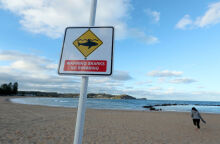 Αυστραλία: Καρχαρίας άρπαξε από το πόδι και σκότωσε 60χρονο σέρφερ στα ανοιχτά πολυσύχναστης παραλίας