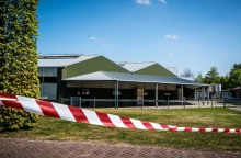 Με εντολή της ολλανδικής κυβέρνησης, χιλιάδες μινκ θανατώνονται με αέριο, εξαιτίας κρουσμάτων κορωνοϊού που σχετίζονται με μόλυνση τουλάχιστον δύο ανθρώπων