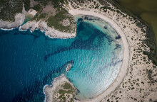 Βοϊδοκοιλιά 