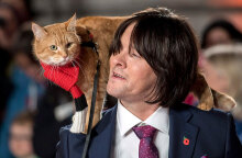 Ο γατούλης Μπομπ