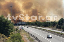 Φωτιά δίπλα στην Εθνική Οδό Αθηνών - Λαμίας στο ύψος του Μαρτίνου  
