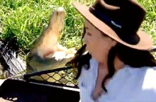 Επίθεση κροκόδειλου σε δημοσιογράφο