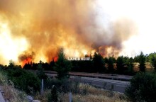 Φωτιά δίπλα στην Εθνική Οδό Αθηνών - Λαμίας στο ύψος του Μαρτίνου  