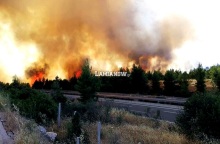 Φωτιά δίπλα στην Εθνική Οδό Αθηνών - Λαμίας στο ύψος του Μαρτίνου © lamianow.gr 