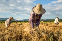H L’Oréal αποκαλύπτει την επόμενη γενιά των φιλόδοξων στόχων της για τη βιωσιμότητα προς το 2030