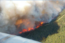 Καίγεται η Καλλίπολη - Μεγάλη φωτιά σε εξέλιξη στο βορειοδυτικό τμήμα της Τουρκίας