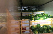 Σε φορτηγό με καρπούζια έκρυβε μετανάστες σπείρα που εξαρθρώθηκε από την ΕΛ.ΑΣ