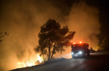 Δασική πυρκαγιά 