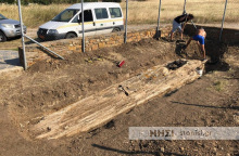 Κορμός απολιθωμένου δέντρου