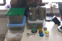 Ηγουμενίτσα: Εντοπίστηκε οργανωμένο σύστημα καλλιέργειας κάνναβης