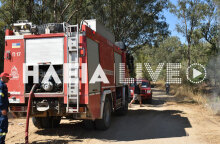 Επί ποδός οι πυροσβέστες στην Ηλεία - Ξέσπασε δασική πυρκαγιά στο Βαρθολομιό