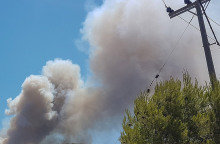 ΠΥΡΚΑΓΙΑ ΣΕ ΔΑΣΙΚΗ ΕΚΤΑΣΗ ΣΤΟ ΛΑΥΡΙΟ