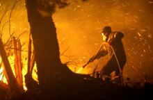 Φωτιά στις Κεχριές 