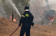 ΠΥΡΚΑΓΙΑ ΣΕ ΔΑΣΙΚΗ ΕΚΤΑΣΗ