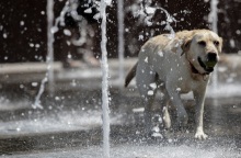 Τα κύρια χαρακτηριστικά του καιρού σήμερα, Κυριακή 2 Αυγούστου 2020 