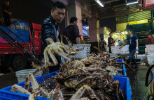 Υπαίθρια αγορά με θαλασσινά στην Κίνα - Καθησυχαστικός ο ΠΟΥ υποστηρίζει ότι δεν υπάρχει κίνδυνος μετάδοσης του κορωνοϊού από τα τρόφιμα και τις συσκευασίες τους