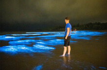 Το πλαγκτόν και η βιοφωταύγεια δημιούργησαν μια εκπληκτική θαλάσσια... ντίσκο σε παραλία στην Ιρλανδία