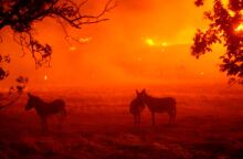 Φωτιές στην Καλιφόρνια 