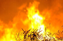 ΑΡΧΕΙΟ - ΦΩΤΙΑ 