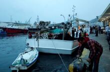 Ιχθυόσκαλα