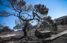 Κερατέα μία ημέρα μετά τη φωτιά