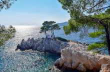 ΑΜΑΡΑΝΤΟΣ ΣΚΟΠΕΛΟΥ