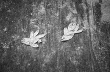 Δημήτρης Μυτάς: Μια ιδιαίτερη αφήγηση της ενδονοσοκομειακής ζωής