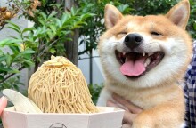 Uni: Ο σκύλος που χαμογελάει όποτε βλέπει φαγητό