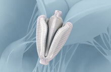 Διαδερμικές επιδιορθώσεις τριγλώχινας βαλβίδας