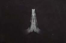 Sault, Untitled (Rise): δισκοκριτική