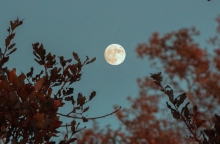 Πανσέληνος στον Σκορπιό στις 31 Οκτωβρίου 2020