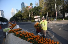 Εργαζόμενος σε δρόμο του Μεξικό