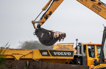 Δανία - Covid-19: Μαζική θανάτωση εκατομμυρίων μινκ