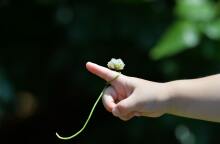 Ευρωπαϊκή Εβδομάδα για την Κυστική Ίνωση15-21 Νοεμβρίου