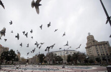 Κορωνοϊός στην Ισπανία: Άδεια από κόσμο κεντρική πλατεία στη Βαρκελώνη