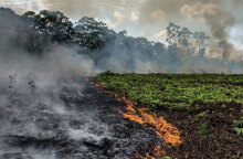 Καμένες εκτάσεις στην Αμαζονία