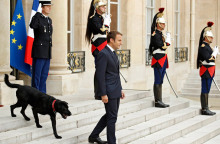  Ο πρόεδρος της Γαλλίας, Εμανουέλ Μακρόν, με τον σκύλο του, Nemo