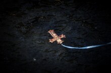 Αγιασμός των υδάτων