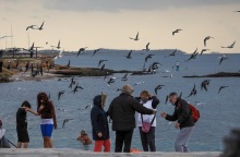 Στιγμιότυπο από βόλτα στην παραλία του Φλοίσβου