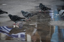 Συγκέντρωση κατά της συμφωνίας των Πρεσπών, στο Σύνταγμα