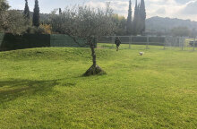 Pallini Kennels Dog Park